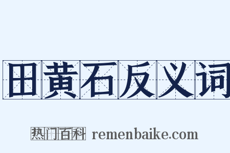 田黄石反义词是什么意思的图片